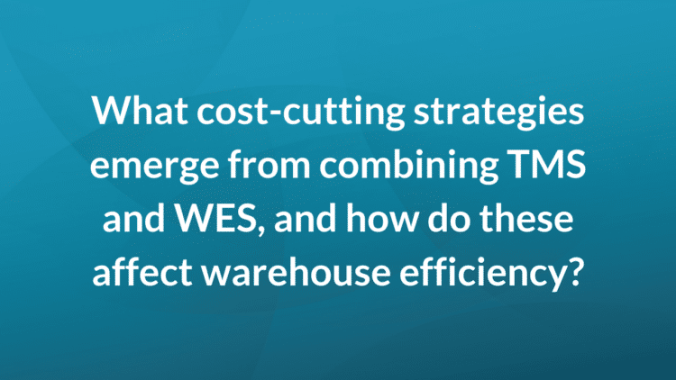 What cost-cutting strategies emerge from combining TMS and WES, and how do these affect efficiency?