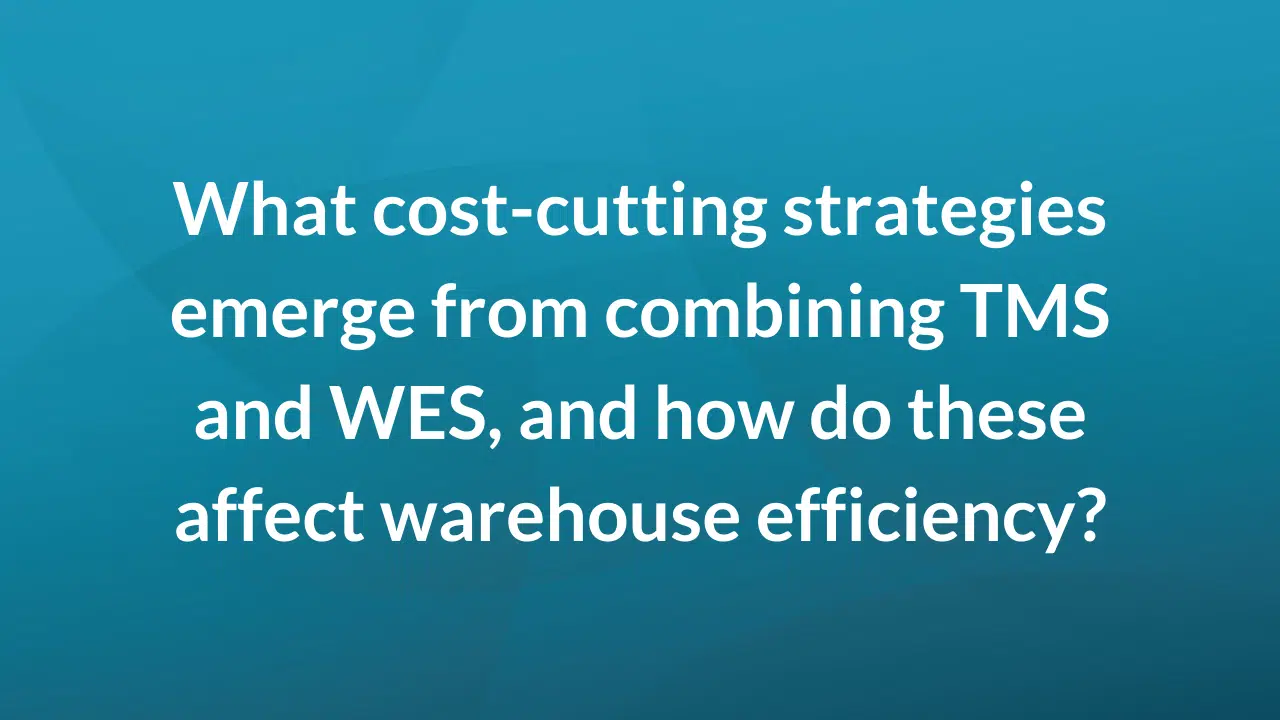 What cost-cutting strategies emerge from combining TMS and WES, and how do these affect efficiency?